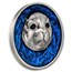 2026 Cameroon 1 oz Silver Above the Surface: Seal (Box and COA)
