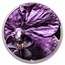 2026 Cook Islands 1 oz Silver Bionics: Orchid (w/ Box & COA)