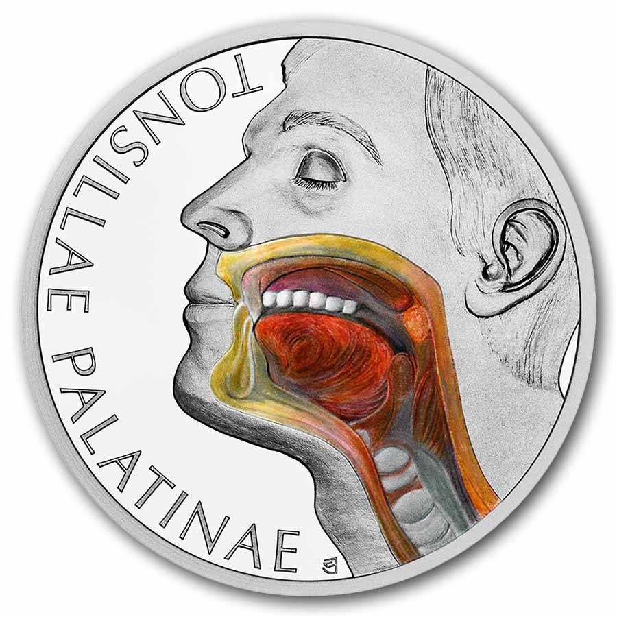 2026 Niue 1 oz Silver Proof Colorized Human Body - Tonsil