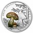 2026 Niue 1 oz Silver Proof Colorized Mushrooms: Porcini
