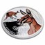2026 Niue 1 oz Silver Proof Mammals of Australia: Red Kangaroo