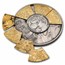 2026 Solomon Islands 5 oz Silver Agatha Christie Puzzle Coin