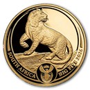 2026 South Africa 1/4 oz Proof Gold Big Five Leopard (Box & COA)