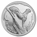 2026 South Africa 2 oz Silver The African Range: Cheetah Survey