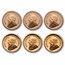 2026 South Africa 6-coin Gold Krugerrand Proof Set (Dmg Capsules)