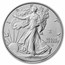 2026-W Burnished American Silver Eagle (OGP, Enhanced, Dual Date)