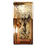 25 Utah Goldback - Aurum Gold Foil Note 24k (Damaged)