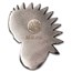3.2 oz Hand Poured Silver - Native Warrior Princess