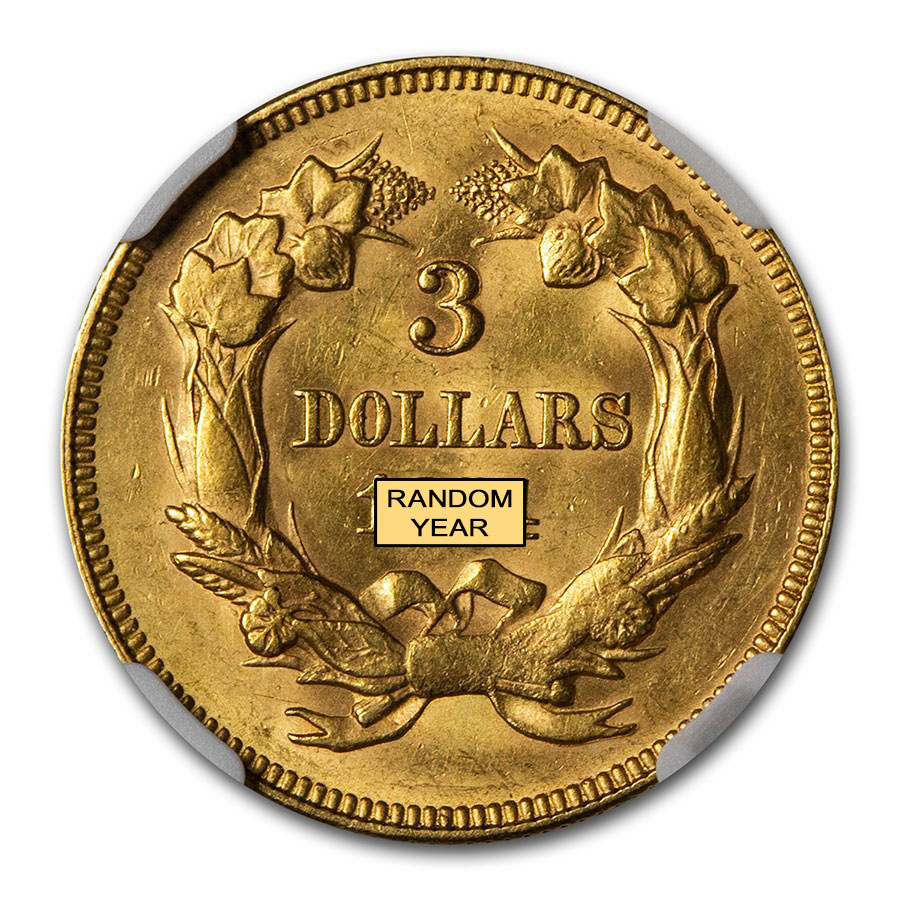 Buy $3 Gold Princess AU-58 NGC/PCGS | APMEX
