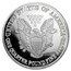 4 oz Silver Round - 2010 Silver Eagle (w/Box & COA)