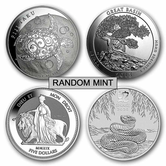 5 oz Silver Coin - Random Mint