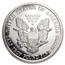 6 oz Silver Round - Silver Eagle (Random Year)