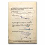American Brands, Inc. Stock Certificate (Orange)
