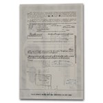 American General Insurance Company Stock Certificate