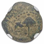 Ancient Judaea AE Prutah Agrippa I (37-44 AD) Ch Fine NGC