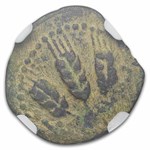 Ancient Judaea AE Prutah Agrippa I (37-44 AD) Ch Fine NGC