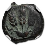 Ancient Judaea AE Prutah Agrippa I (37-44 AD) VF NGC