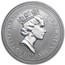Australia 1/2 oz Platinum Koala BU (Random Year)