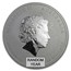 Australia 10 oz Silver Lunar Series II Random Year (Abrasions)