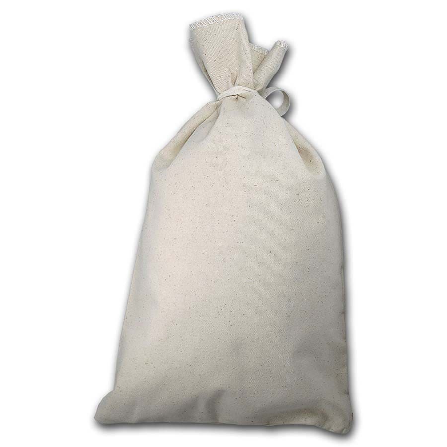 Blank 10" X 16" Money Bag - Holds $500+ Coins (Heavy Duty)