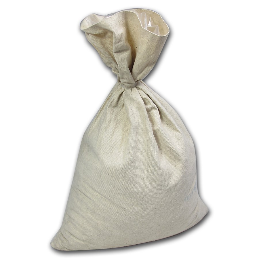 Blank 12 X 19 Money Bag - Holds $1,000+ Coins (Heavy Duty)