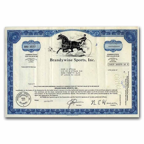 Brandywine Sports, Inc Stock Certificate (Harness Racer) Brandywine Sports, Inc Stock Certificate (Harness Racer)
