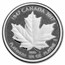 Canada 1/4 oz Platinum Maple Leaf BU (Random Year)