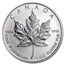 Canada 1 oz Platinum Maple Leaf BU (Random Year)