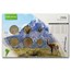 Chile 1 Peso - 500 Pesos 6-Coin Set BU (Landscape Packaging)
