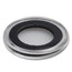 Coin Capsule w/Black Gasket - 24 mm