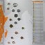 Coins of the World - Africa (41 coins)
