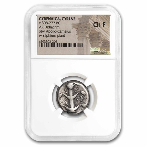 Cyrenaica, Cyrene AR Didrachm 308-277 BC Ch Fine NGC Cyrenaica, Cyrene AR Didrachm 308-277 BC Ch Fine NGC