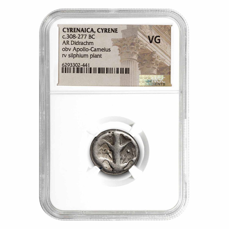 Cyrenaica, Cyrene AR Didrachm 308-277 BC VG NGC