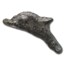 Dolphin Money from Olbia (500 - 400 BC) Presentation Set