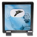 Dolphin Money from Olbia (500 - 400 BC) Presentation Set