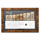 Florida Goldback 8-Note Signed & Framed Limited Edition Set