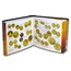 Gold: Everything You Need to Know to Buy and Sell Today (2nd Ed.)