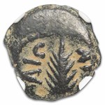 Governors of Judaea AE Prutah Porcius Festus (59-62 AD) VF NGC