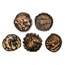 Greek Coinage of Antioch 300-100 BC Avg Circ (Random Coin)