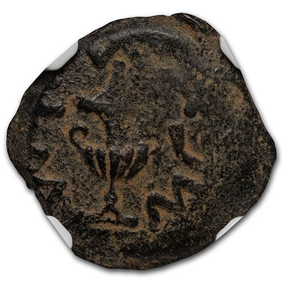 Judaea AE Prutah Jewish War (68/9 AD) Ch Fine NGC (Year 3) Judaea AE Prutah Jewish War (68/9 AD) Ch Fine NGC (Year 3)