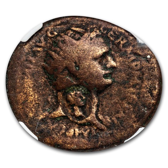Judaea AE28 Domitian (81-96 AD) Fine NGC (Countermark) Judaea AE28 Domitian (81-96 AD) Fine NGC (Countermark)