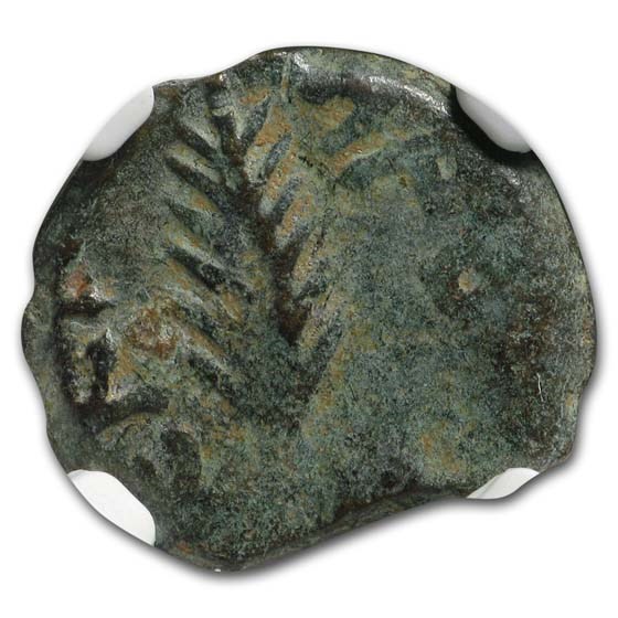 Judaea Procurators AE Prutah Porcius Festus (59-62 AD) NGC Judaea Procurators AE Prutah Porcius Festus (59-62 AD) NGC