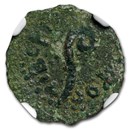 Judaea Procurators Prutah (26-36 AD) Pontius Pilate Ch Fine NGC Judaea Procurators Prutah (26-36 AD) Pontius Pilate Ch Fine NGC