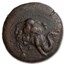 Kingdom of Bactria Demetrius I AE Trichalkon (200-185 BC) Ch VF