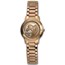 Ladies Native American Horse Rose Gold Coin Watch