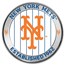 MLB New York Mets 1 oz Silver Colorized Round (w/ Box)