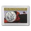 Morgan Silver Dollar Harris Holder (Southwest Design)