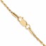 Nebü 22K Gold 2.3 mm 18" Rope Chain