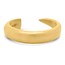 Nebü 24K Horn Ring