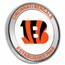NFL Cincinnati Bengals 1 oz Silver Colorized Round (w/Box)